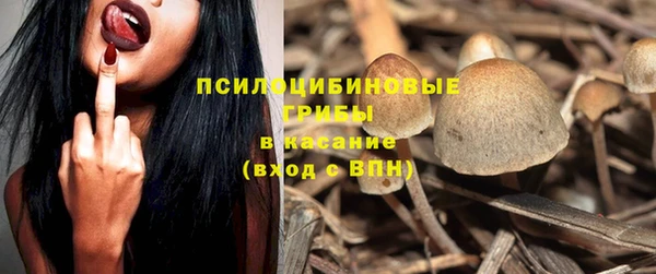 прущая мука Белокуриха